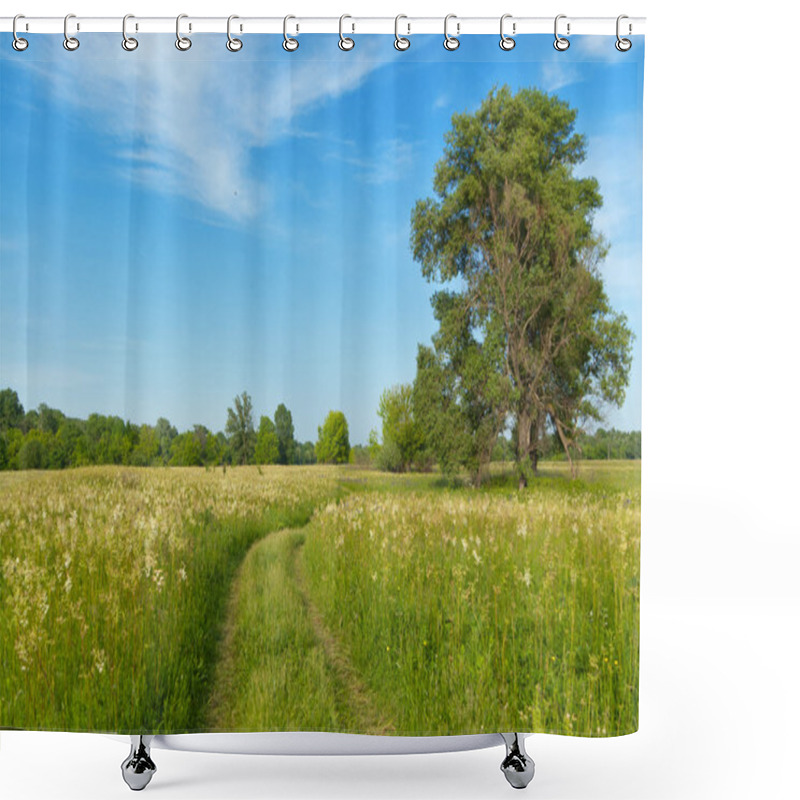 Personality  Beautiful Country Road, Green Meadow Shower Curtains