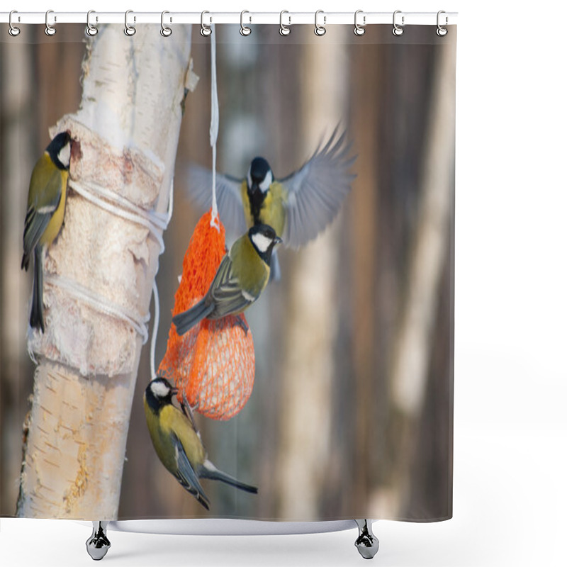 Personality  Tit Birds On A Bird Feeder Shower Curtains