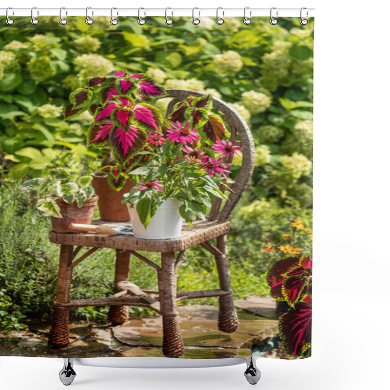 Personality  Pink  Echinacea In The Pot Shower Curtains