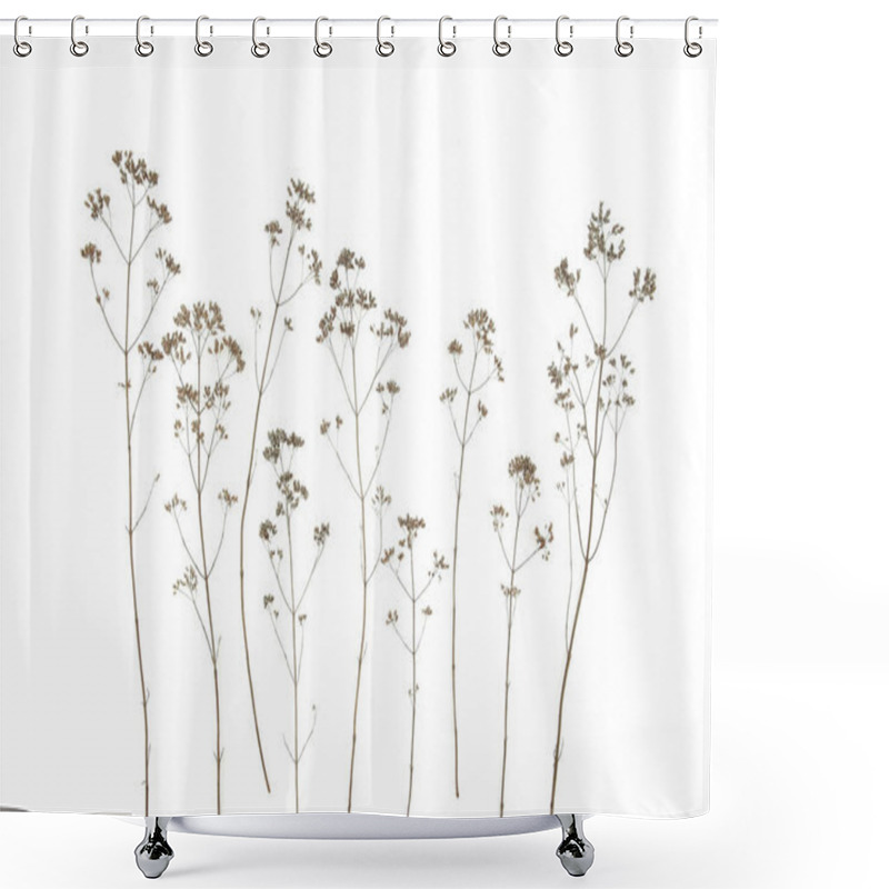 Personality  Dry Field Flowers Isolated On White Background. Dry Wild Meadow Grasses Or Herbs.  Shower Curtains