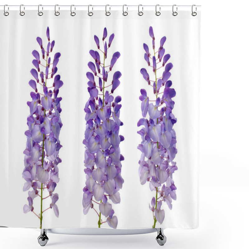 Personality  Wisteria Flowers Shower Curtains