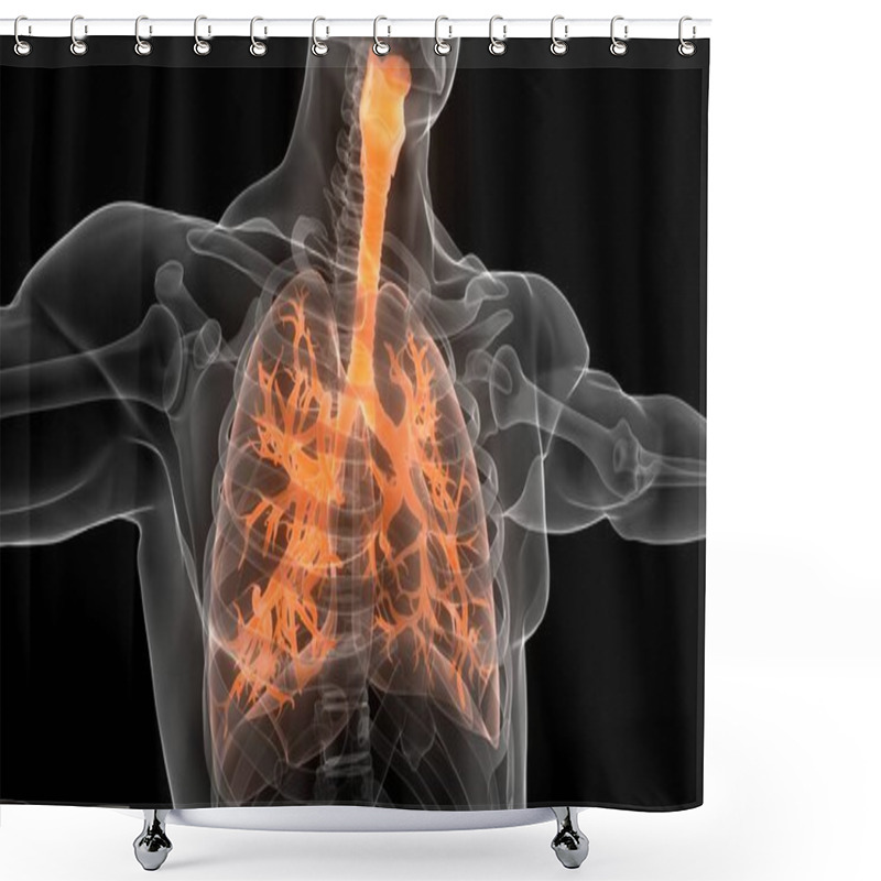 Personality  3D  Concept Of Human Respiratory System Lungs Anatomy Shower Curtains