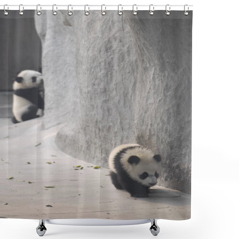 Personality  Cute Pandas Outdoors Shower Curtains