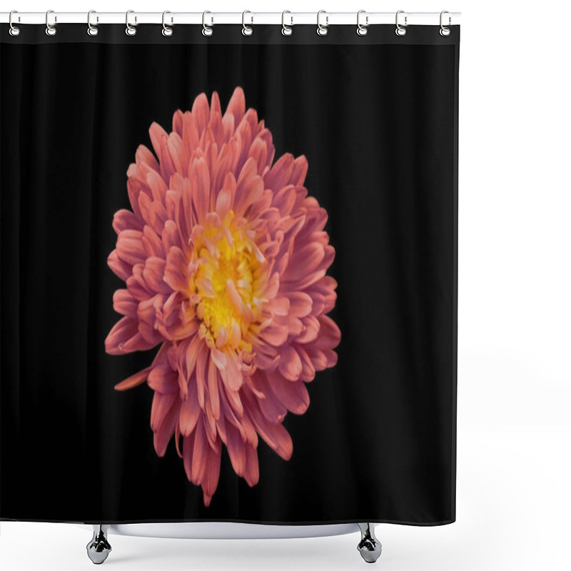 Personality  Red Chrysanthemum On Black Isolated Background Shower Curtains