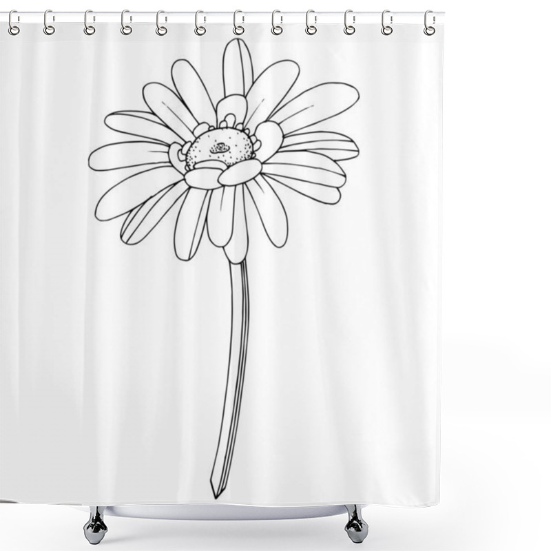 Personality  Vector Gerbera Floral Botanical Flower. Black And White Engraved Shower Curtains