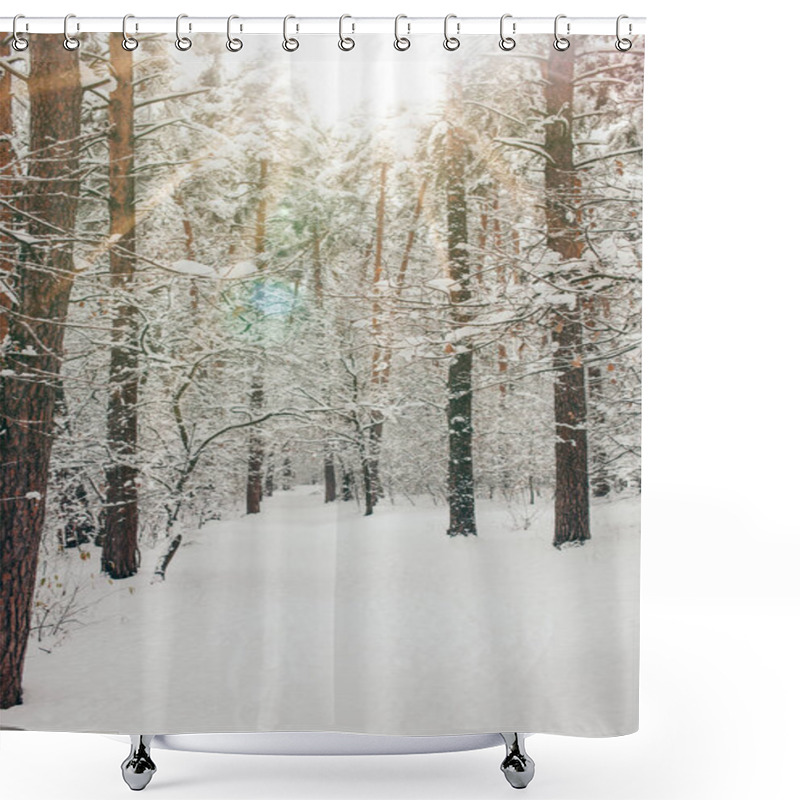 Personality  Scenic View Of Beautiful Snowy Winter Forest And Sunlight Shower Curtains