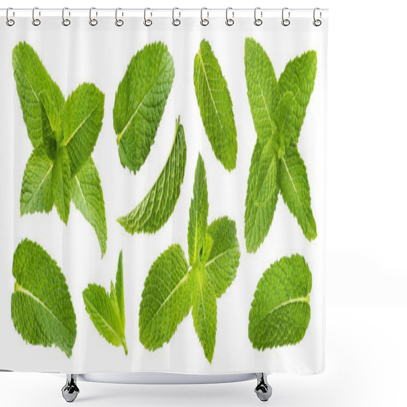 Personality  Fresh Mint Leaves Isolated On White Background Shower Curtains