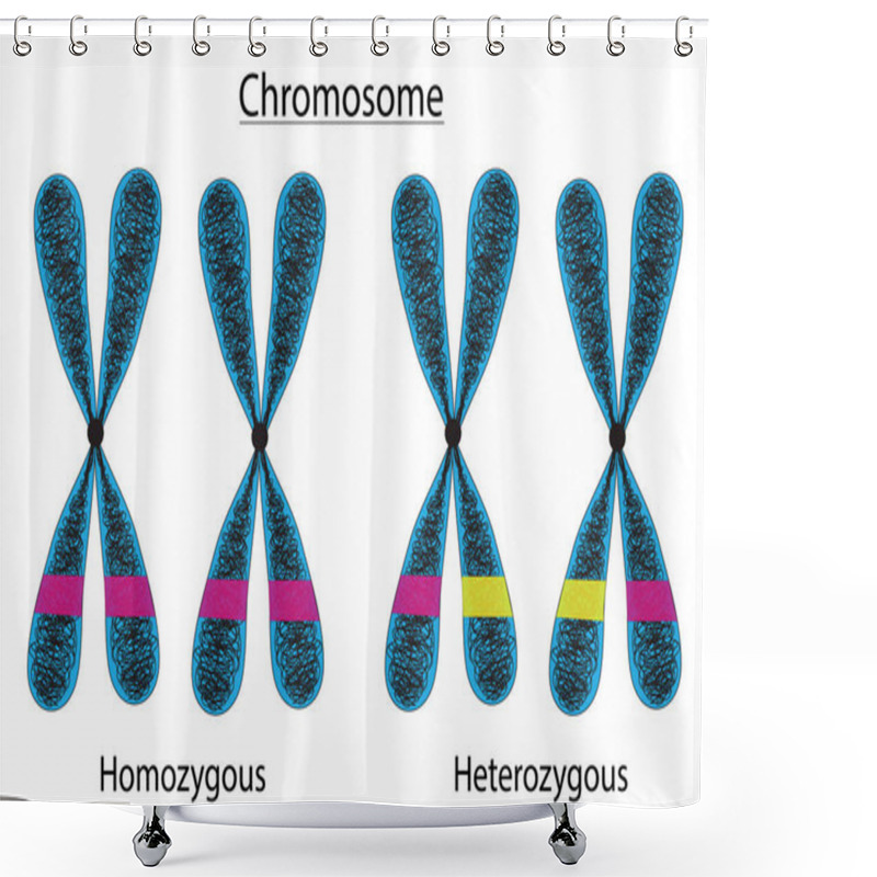 Personality  Centromere Classification Of Chromosomes Shower Curtains