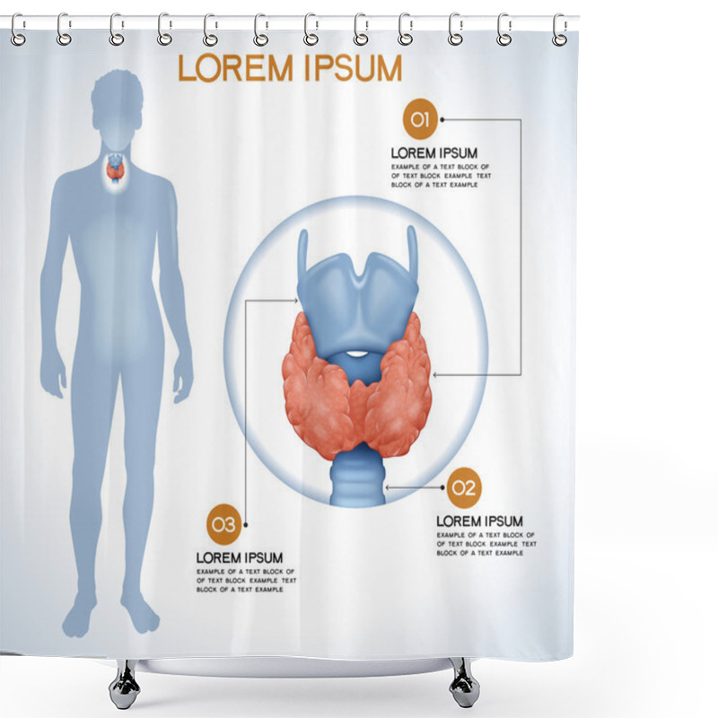 Personality  Thyroid. Modern Medical Infographics.  Shower Curtains