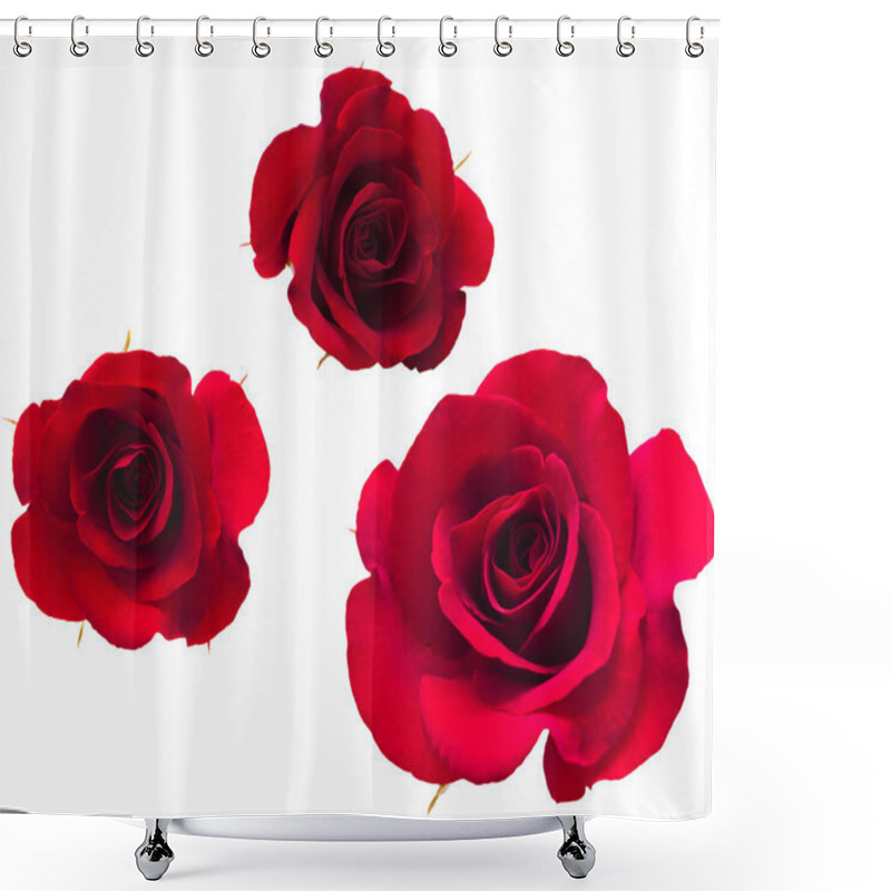 Personality  A Flower Of Roses. Shower Curtains