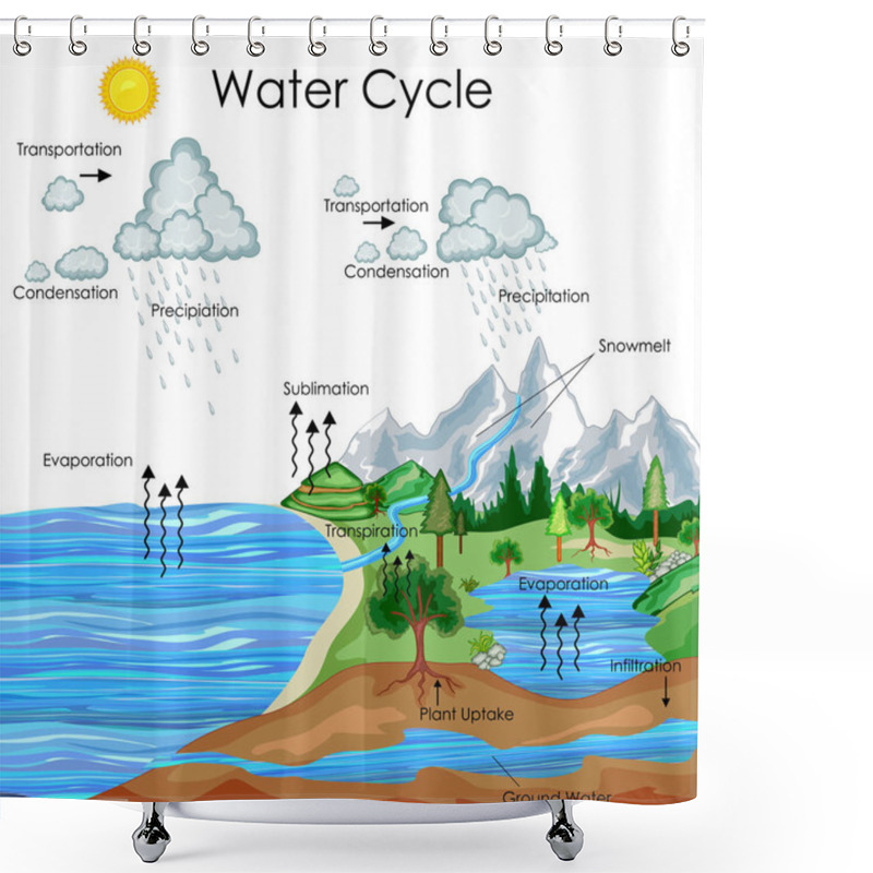 Personality  Education Chart Of Water Cycle Diagram Shower Curtains