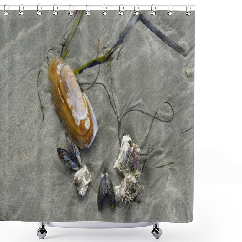 Personality  Razor Clam, Mussels And Barnacles On The Sand At Chesterman Beach, Tofino, Vancouver Island, British Columbia, Canada Shower Curtains