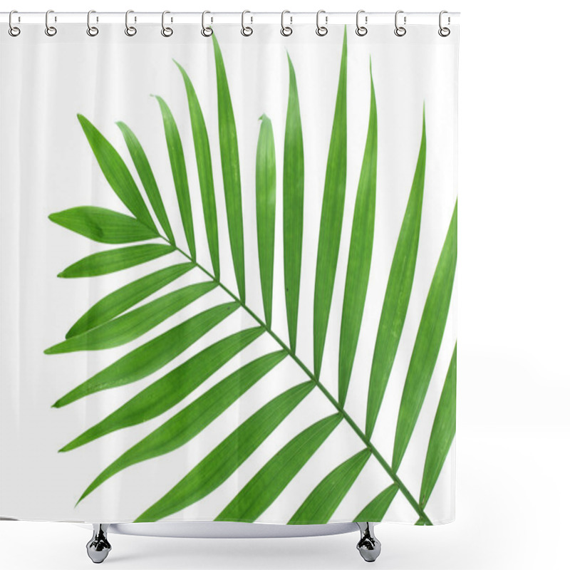 Personality  Beautiful Green Palm Leaf Isolated On White Shower Curtains