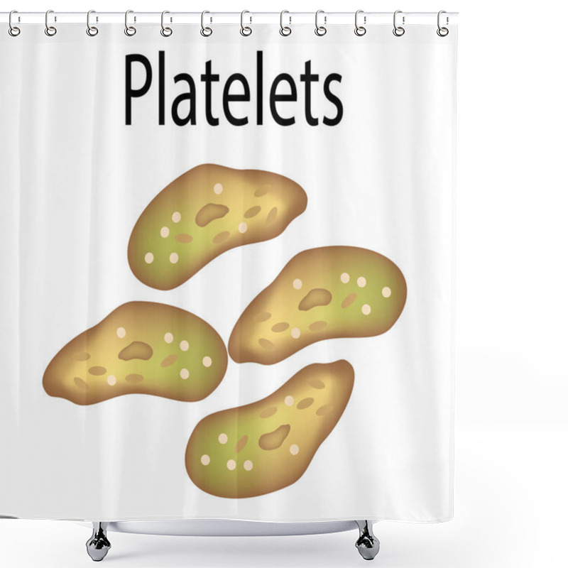 Personality  The Structure Of Platelets. Platelets Are A Blood Cell. Infographics. Vector Illustration On Isolated Background. Shower Curtains