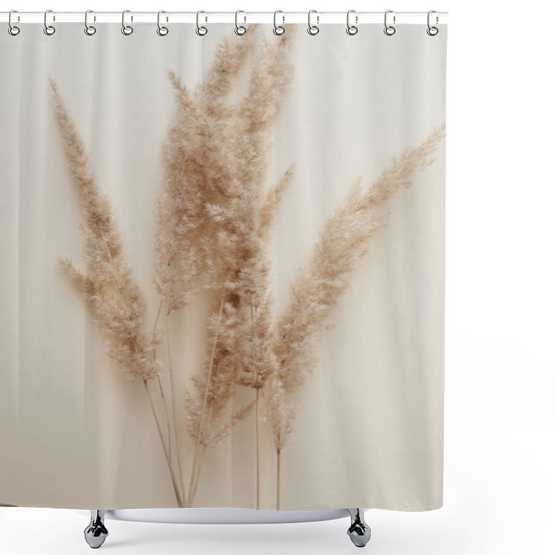 Personality  Dry Pampas Grass Reeds Agains On Beige Background. Beautiful Pattern With Neutral Colors. Minimal, Stylish, Monochrome Concept. Flat Lay, Top View, Copy Space. Set Sail Champagne Trend Color 2021 Shower Curtains