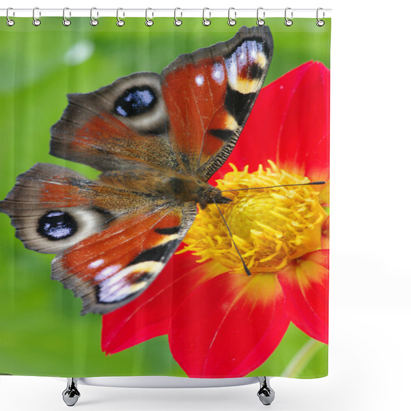 Personality  Butterfly Shower Curtains