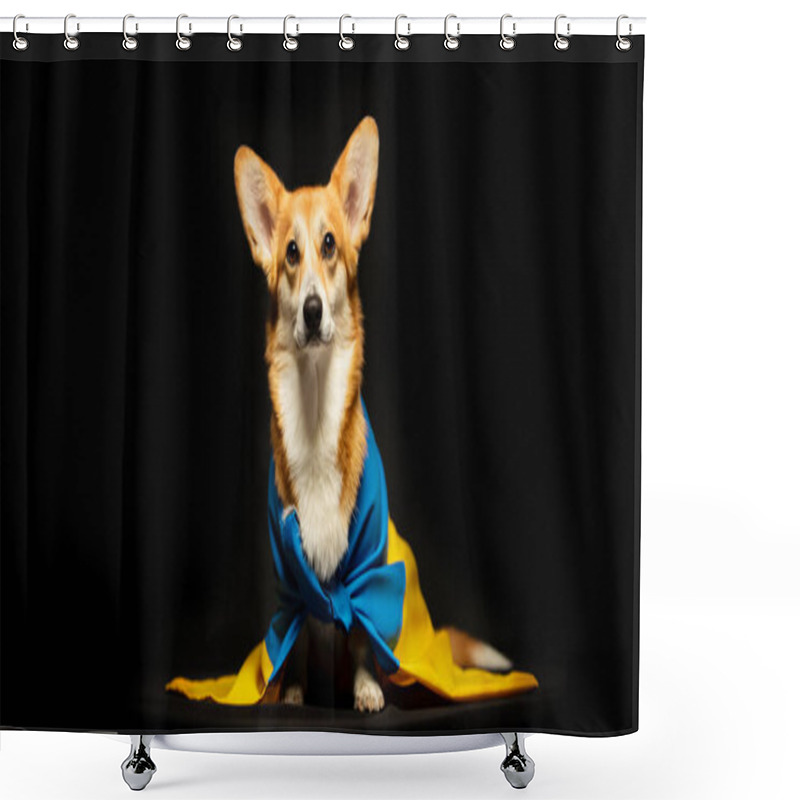 Personality  Beautiful Welsh Corgi Pembroke With Ukraine Flag On Black Background. Patriotic Ukrainian Dog. Peaceful Protest Against The War Shower Curtains