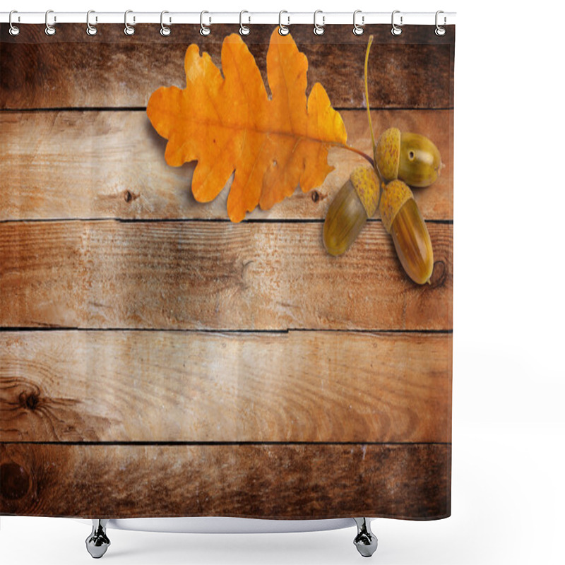 Personality  Old Grunge Paper With Autumn Oak Leaves And Acorns Shower Curtains