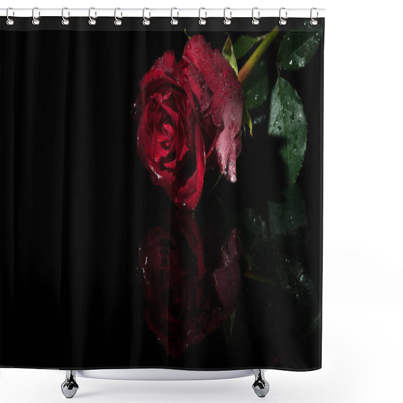 Personality  Wet Rose On A Black Background Shower Curtains