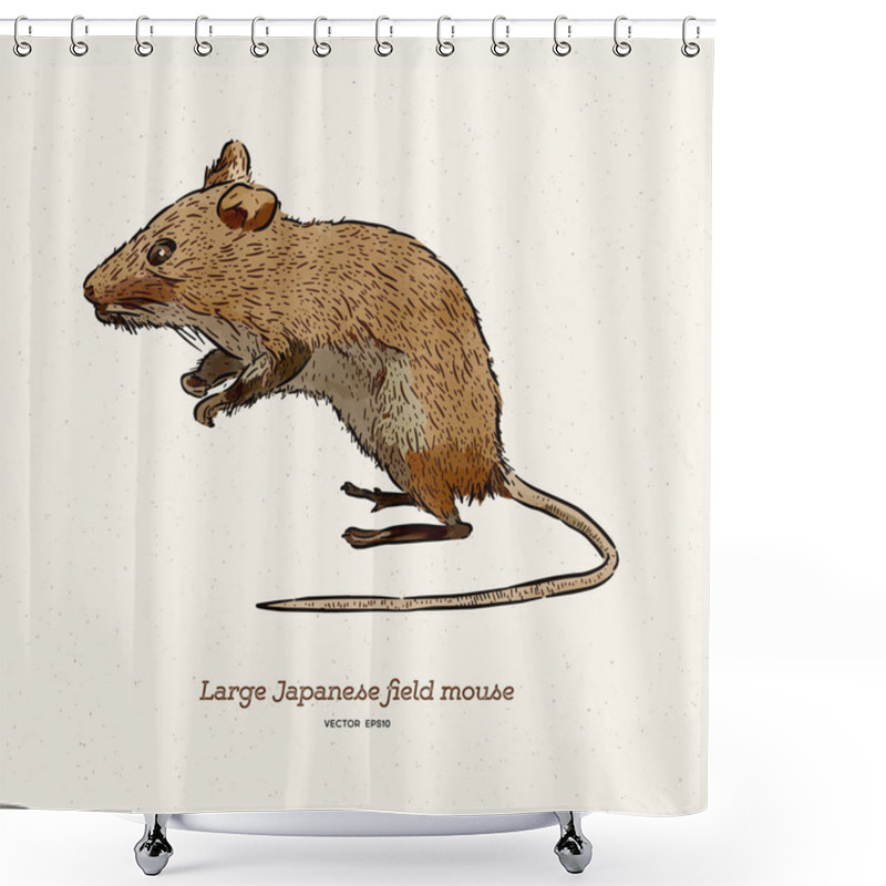 Personality  The Large Japanese Field Mouse (Apodemus Speciosus), Hand Draw S Shower Curtains