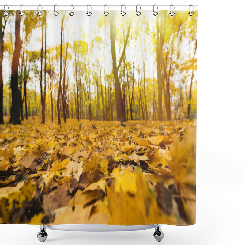 Personality  Yellow Fallen Leaves Shower Curtains