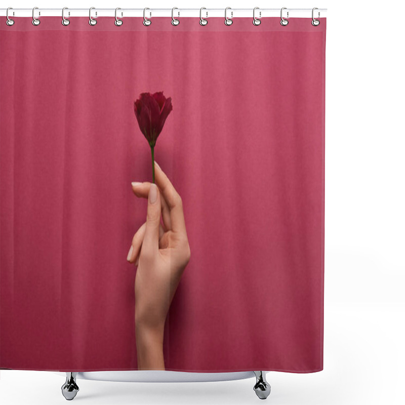 Personality  Cropped View Of Woman Holding Flower In Hand On Ruby Background  Shower Curtains