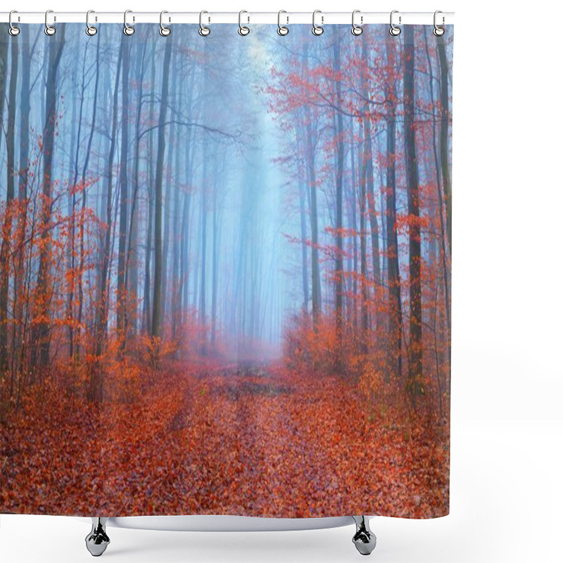 Personality  Panoramic View Of Pathway Through Beech Forest. Thick Fog, Mysterious Blue Light. Red And Orange Leaves. Lorraine, France. Dark Atmospheric Autumn Landscape. Ecotourism, Environment, Nature, Seasons Shower Curtains