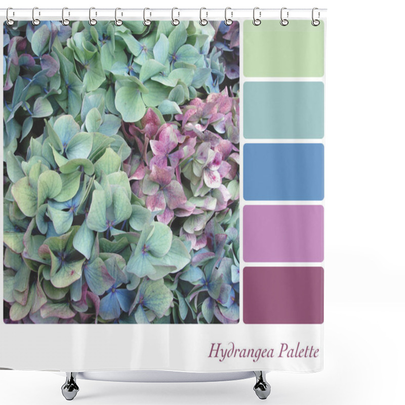 Personality  Hydrangea Palette Shower Curtains