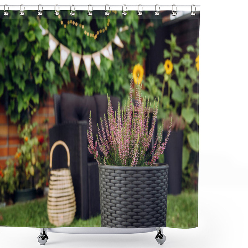 Personality  Selective Focus On Pink Potted Heather Flower Growing In Black Plastic Rattan Pot. On Blurred Background Are Garden Furniture Chair, Bamboo Lantern, Grape Vines Climbing On Wall On Autumn Evening. Shower Curtains