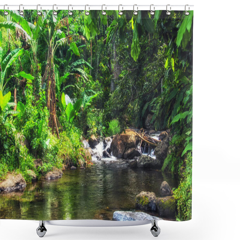 Personality  Rugged Mountain Stream Surrounded By Lush Tropical Flora In The Rainforest Of Suva, Fiji Shower Curtains