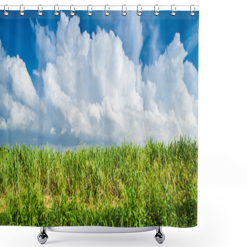 Personality  Caribbean Sugar Cane Plantations In Dominican Respublic Shower Curtains