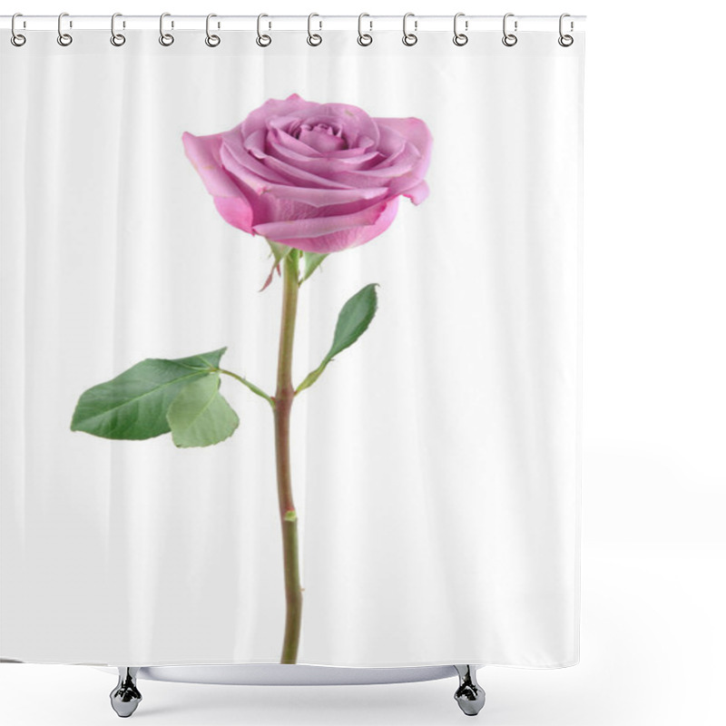 Personality  Purple Rose Shower Curtains