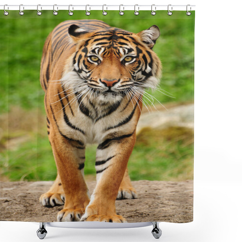 Personality  Bengal Tiger Shower Curtains