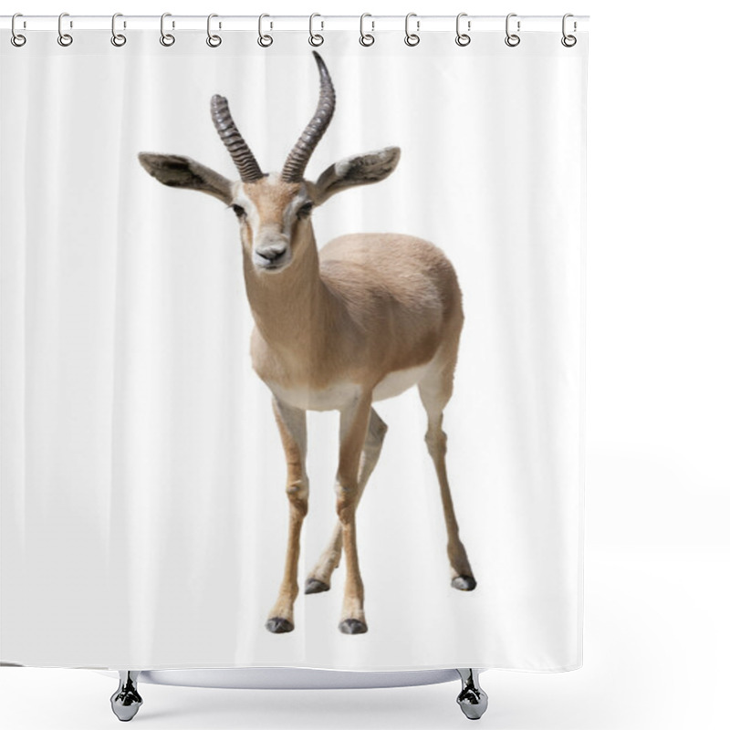 Personality  Gazelle Shower Curtains