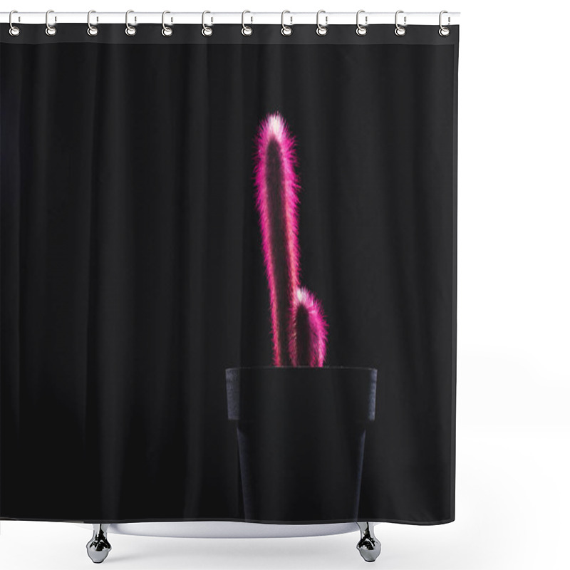 Personality  Close-up View Of Beautiful Pink Cactuses In Pot Isolated On Black  Shower Curtains