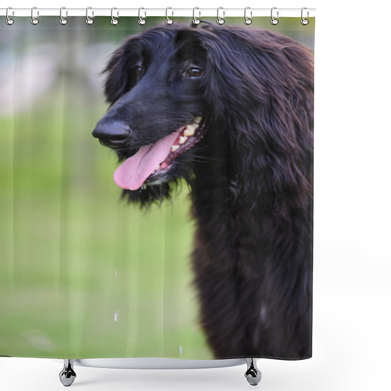 Personality  Black Afghan Hound Dog Shower Curtains