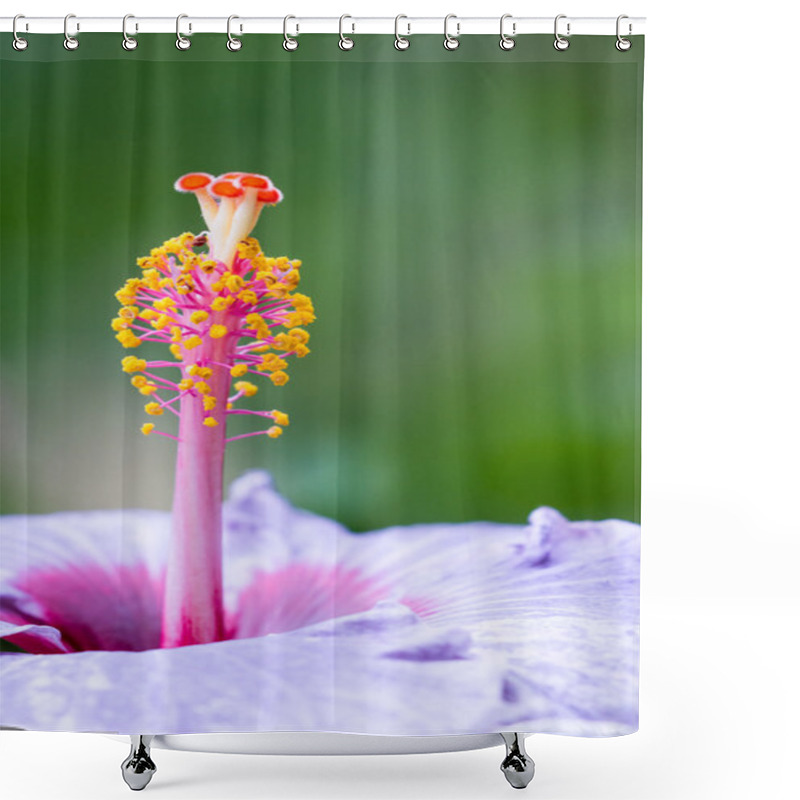 Personality  Hibiscus Flower Detail  Shower Curtains