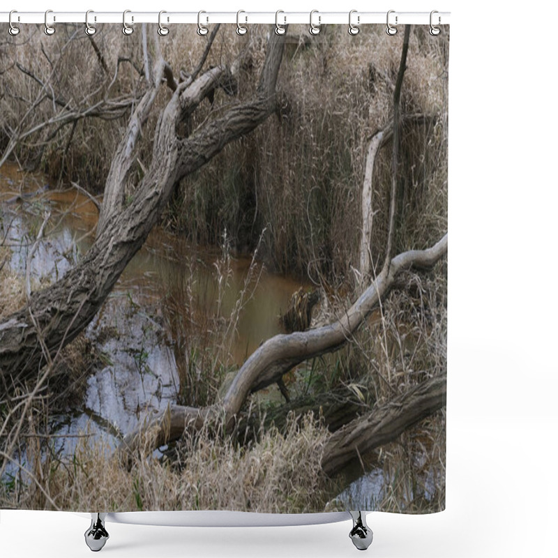 Personality  A Serene Wetland Scene With Reeds Growing Along The Waters Edge, Creating A Natural Habitat For Wildlife. The Calm Water Reflects The Cloudy Sky And Surrounding Vegetation, Offering A Peaceful And Shower Curtains