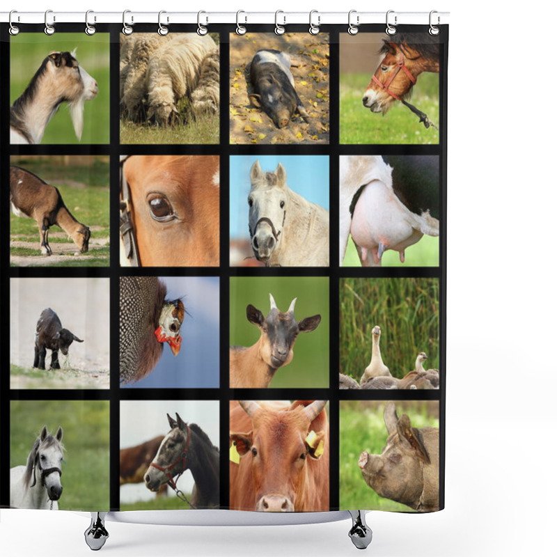 Personality  Collection Of Farm Animals Images Shower Curtains