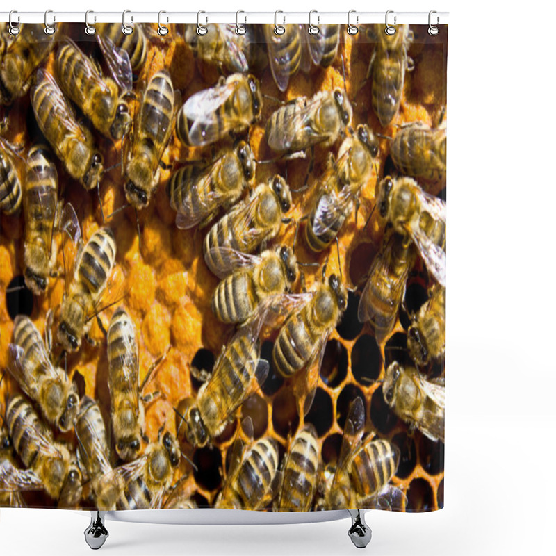 Personality  Bees Shower Curtains