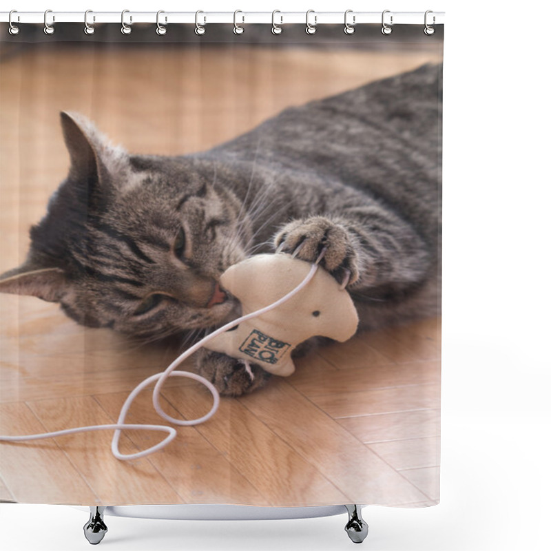 Personality  A Grey Striped Cat Plays With Cat's Toys Shower Curtains