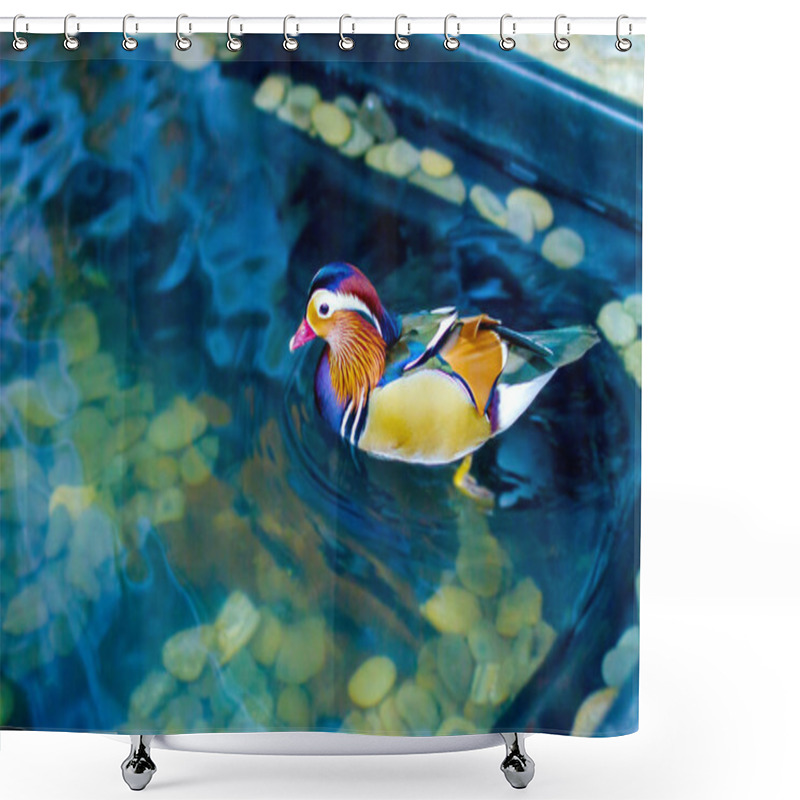 Personality  Male Mandarin Duck Swimming In A Pond Shower Curtains