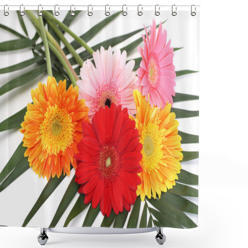 Personality  Bouquet Gerbera Daisies Shower Curtains