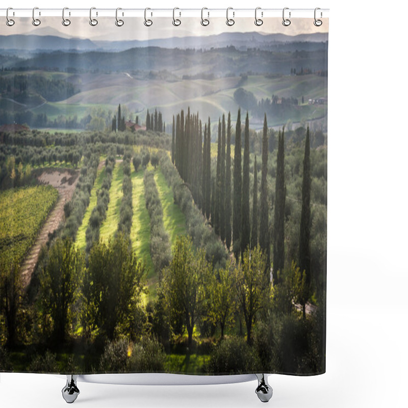 Personality  Panoramic View Of Scenic Tuscany Landscape With Vineyard Shower Curtains