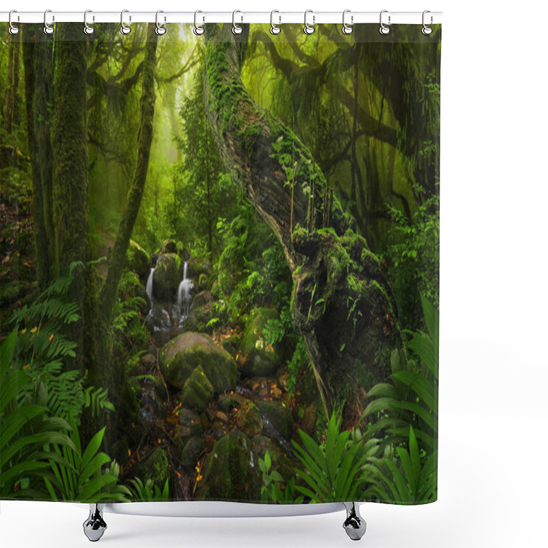 Personality  Asian Deep Tropical Rainforest Shower Curtains