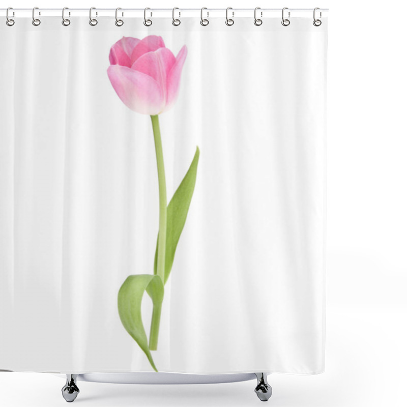 Personality  Pink Tulip Flower Shower Curtains