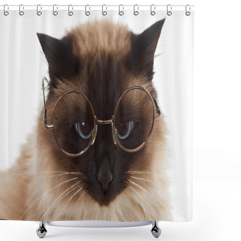 Personality  Portrait Of A Cute Fluffy Balinese Cat With Glasses Closeup On White Shower Curtains