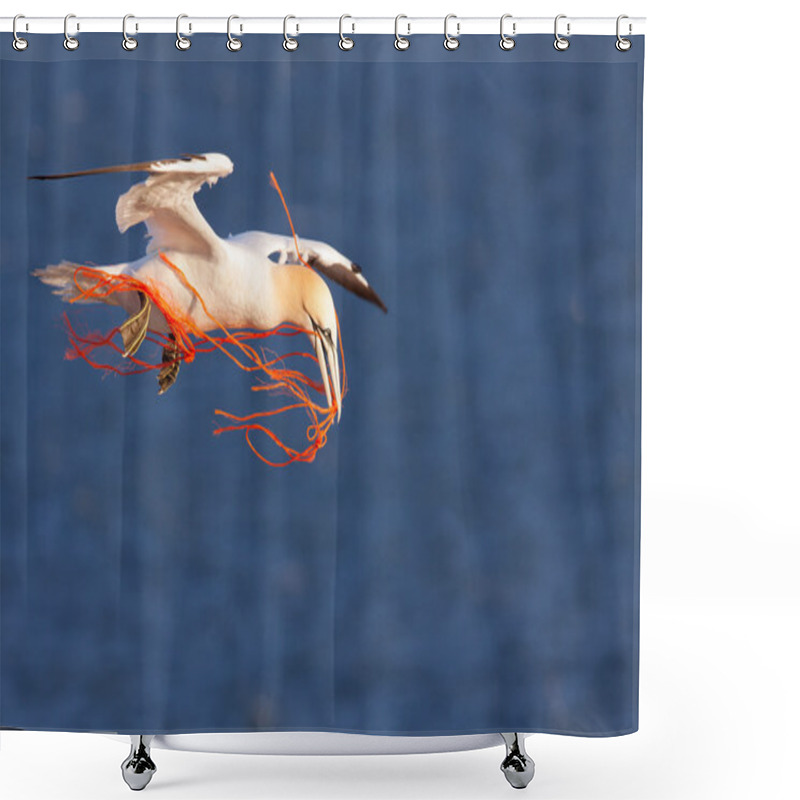 Personality  Gannet Flying With An Orange Rope In Its Beak Shower Curtains