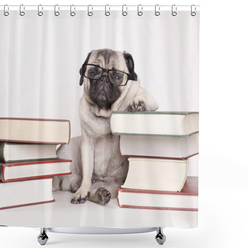 Personality  Smart Intelligent Pug Puppy Dog With Reading Glasses, Sitting Down Between Piles Of Books, On White Background Shower Curtains