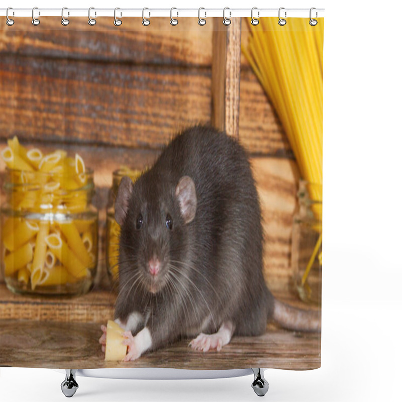 Personality  The Black Fluffy Rat Is A Symbol Of 2020. The Animal Is Sitting In A Wooden House. On The Shelves Are Banks With Pasta And Cereals. A Rat Chewing On Cheese.  Shower Curtains